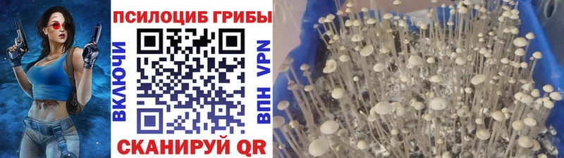 Псилоцибиновые грибы Psilocybine cubensis  наркота  Сосногорск 